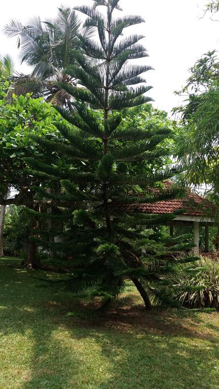 4 Seasons Guesthouse Hikkaduwa Εξωτερικό φωτογραφία