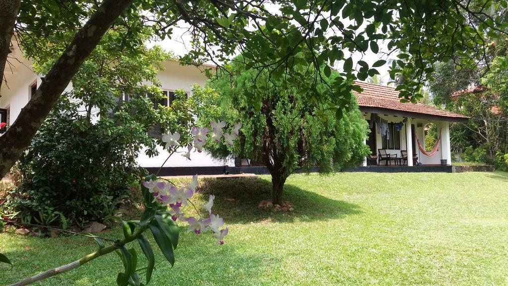 4 Seasons Guesthouse Hikkaduwa Εξωτερικό φωτογραφία